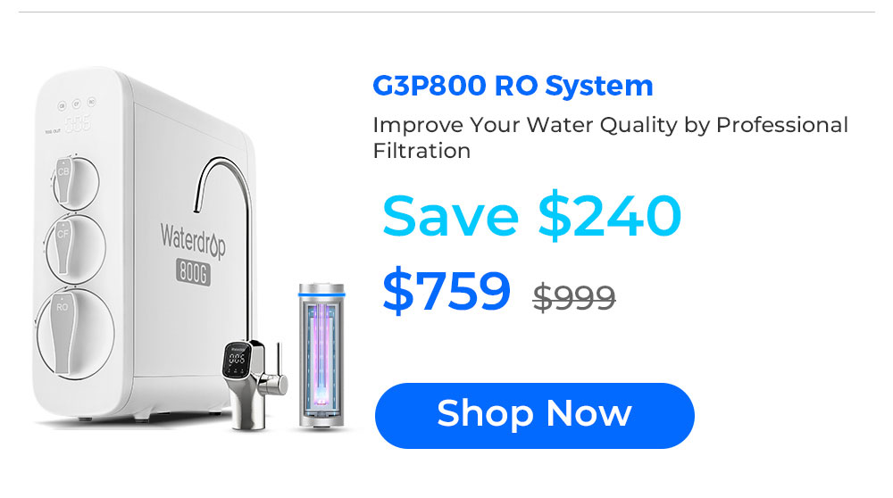 G3P800