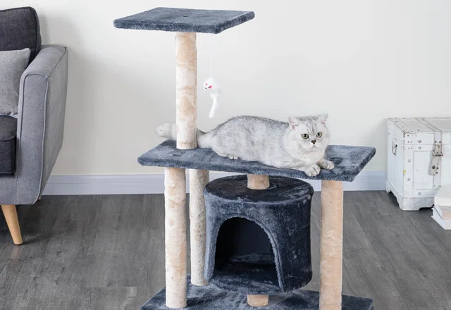 Cat Trees for Less