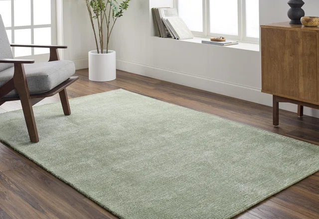 Our Best Area Rug Deals