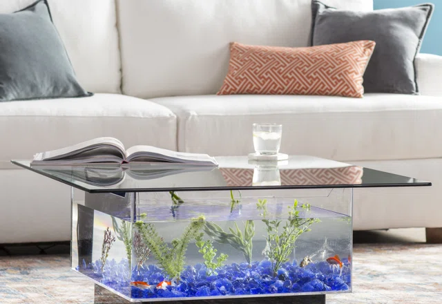 Freshwater Aquariums You'll Love