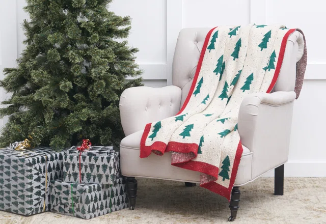 Pillows & throws from $20
