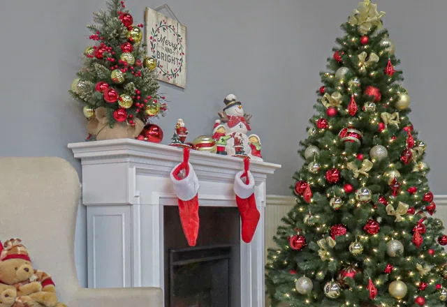 Top Picks: Christmas trees