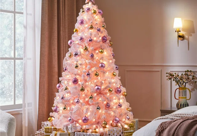 Our top Christmas trees