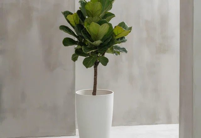 Best-Selling Tall Planters
