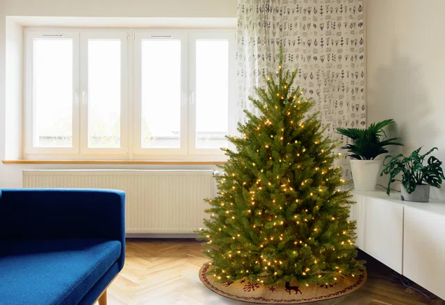 Small Christmas trees