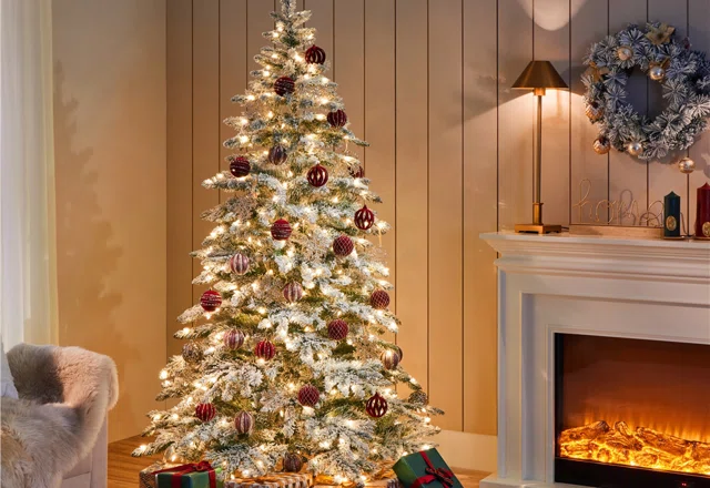 Frosted Christmas trees
