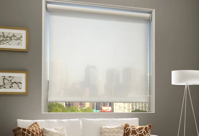 Best-Selling Blinds & Shades