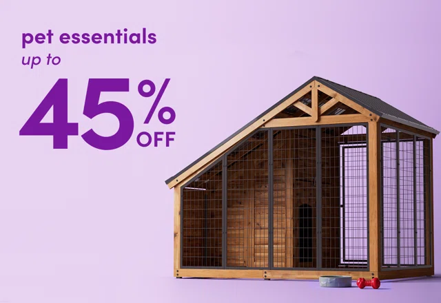 Way Day: pet essentials