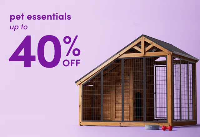 deals on pet essentials