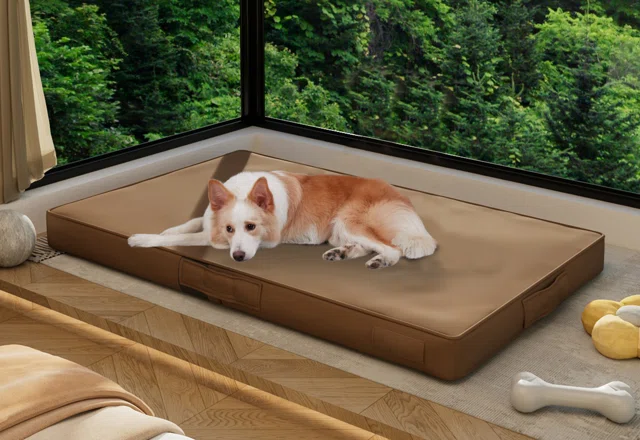 Large Pet Beds You'll Love