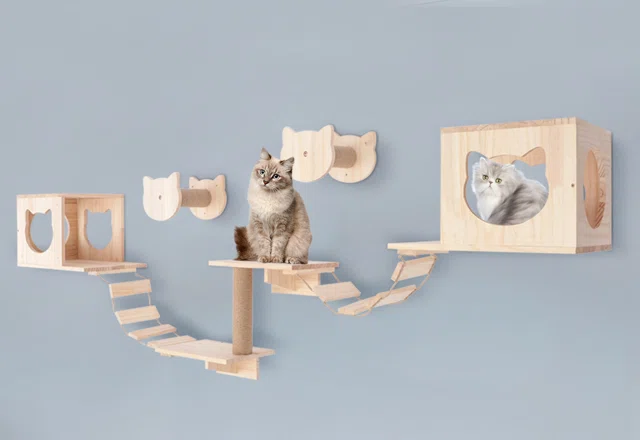 Wall Mounted Cat Trees You'll Love