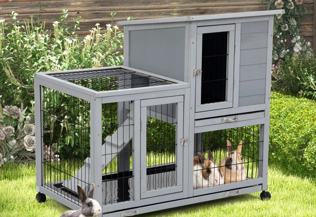 Rabbit Habitats & Cages