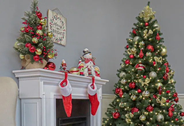Christmas Trees for Less