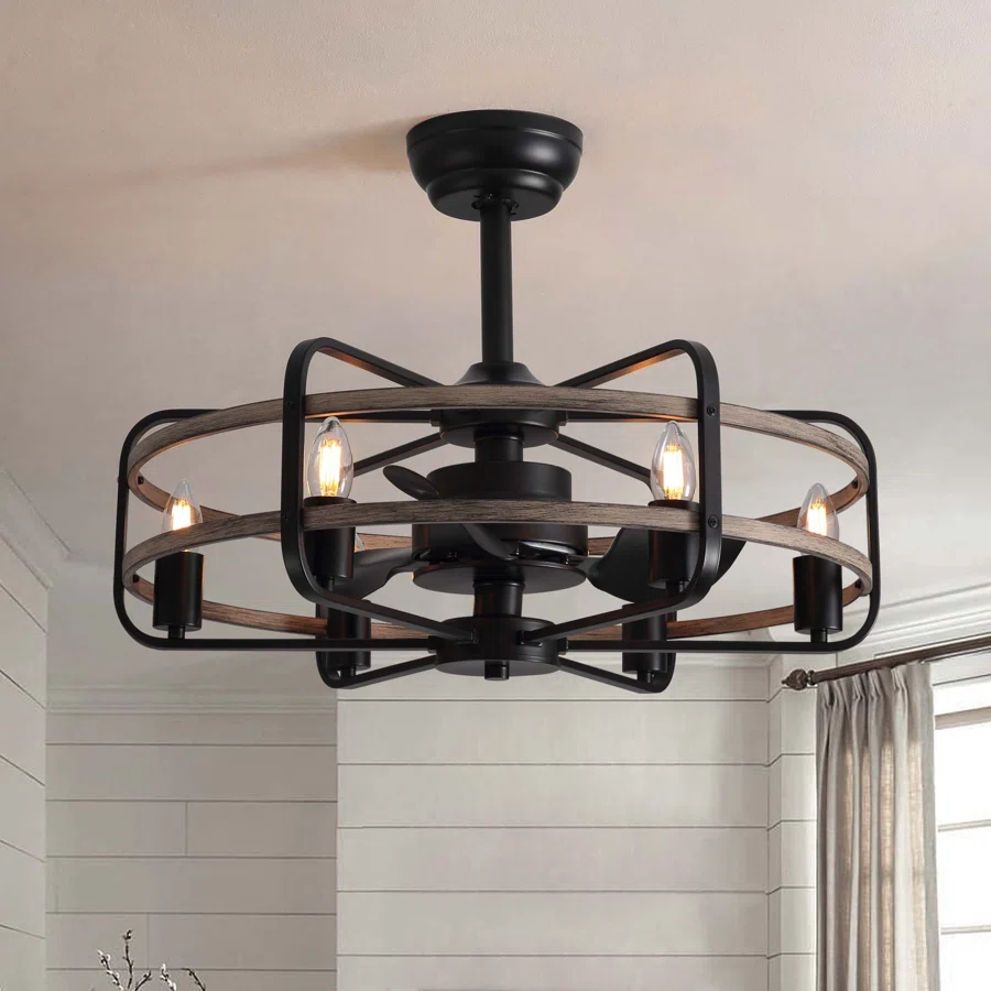 Cantin 24.8" Classic Black Caged Farmhouse Ceiling Fan With Light Kit and Remote Control