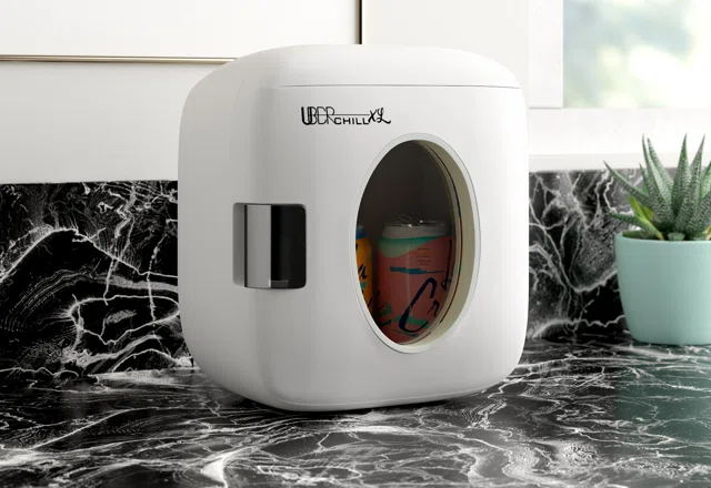 Best-Selling Mini Fridges