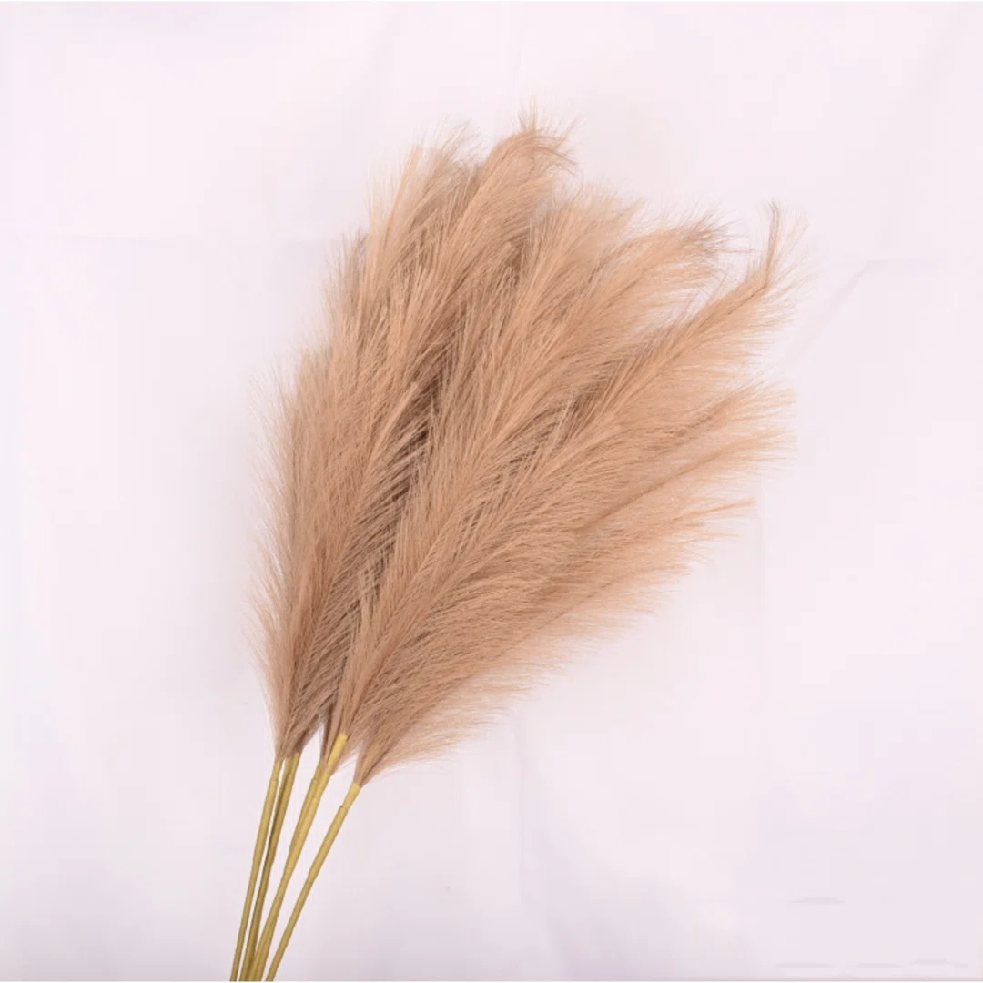 Pampas Grass Spray