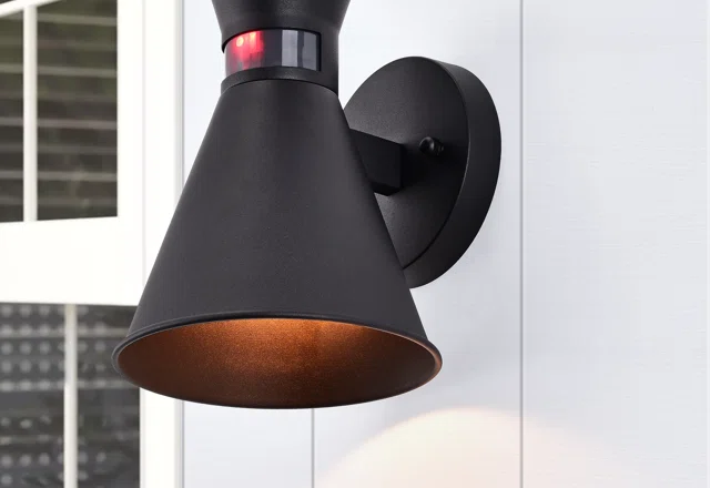 Matte Black Wall Lights You'll Love