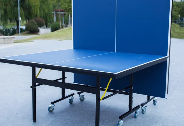 Find the Perfect Table Tennis Table