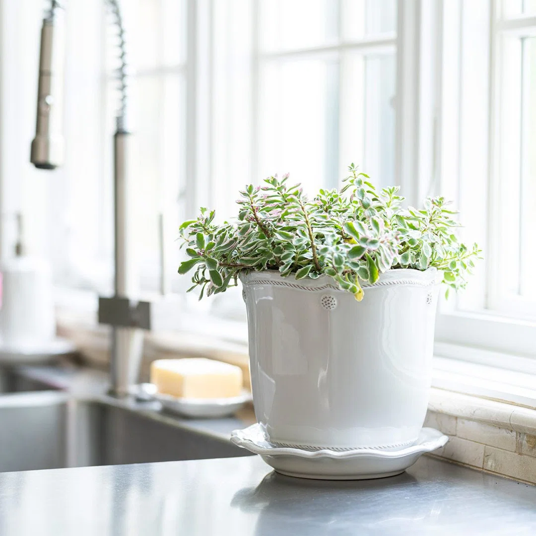 Berry & Thread Planter