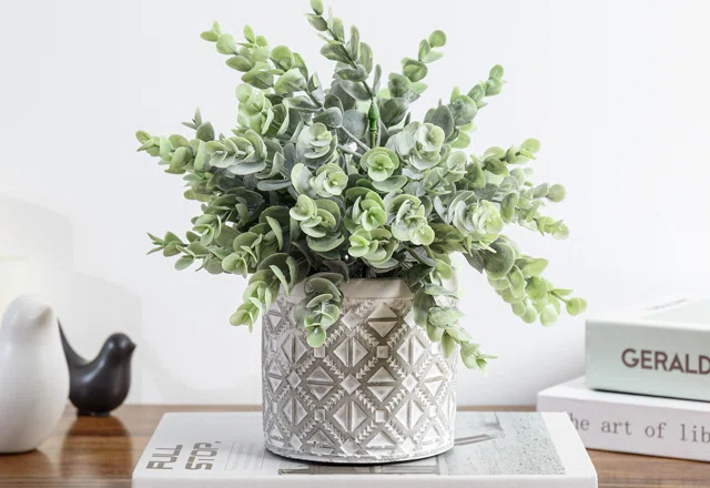 Plants & Trees Under $29.99