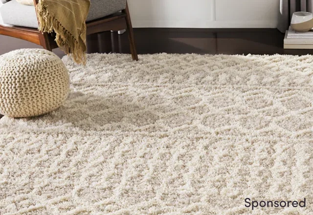 Our Favorite Area Rugs