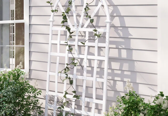Just for You: Trellises