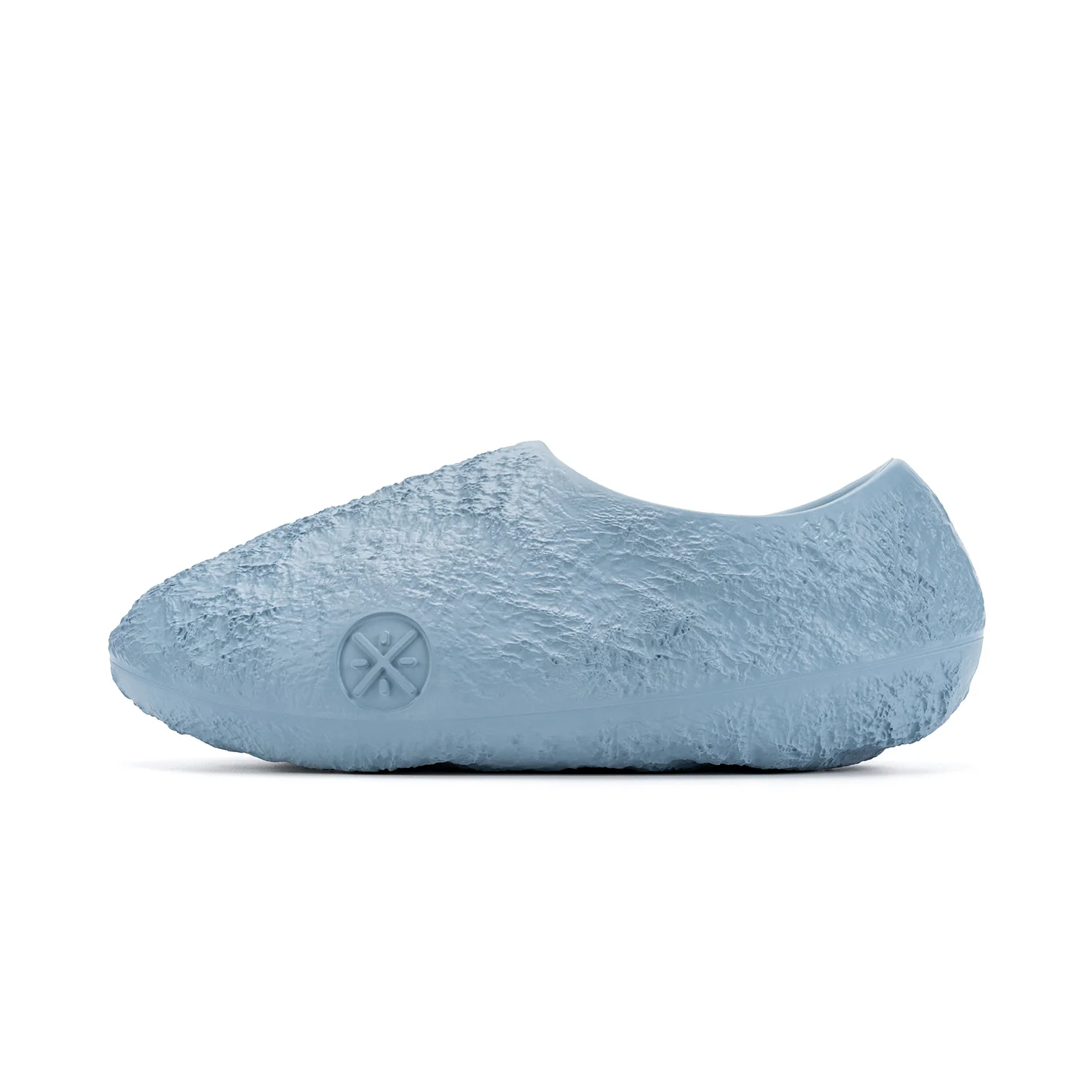 Lunar Rock 