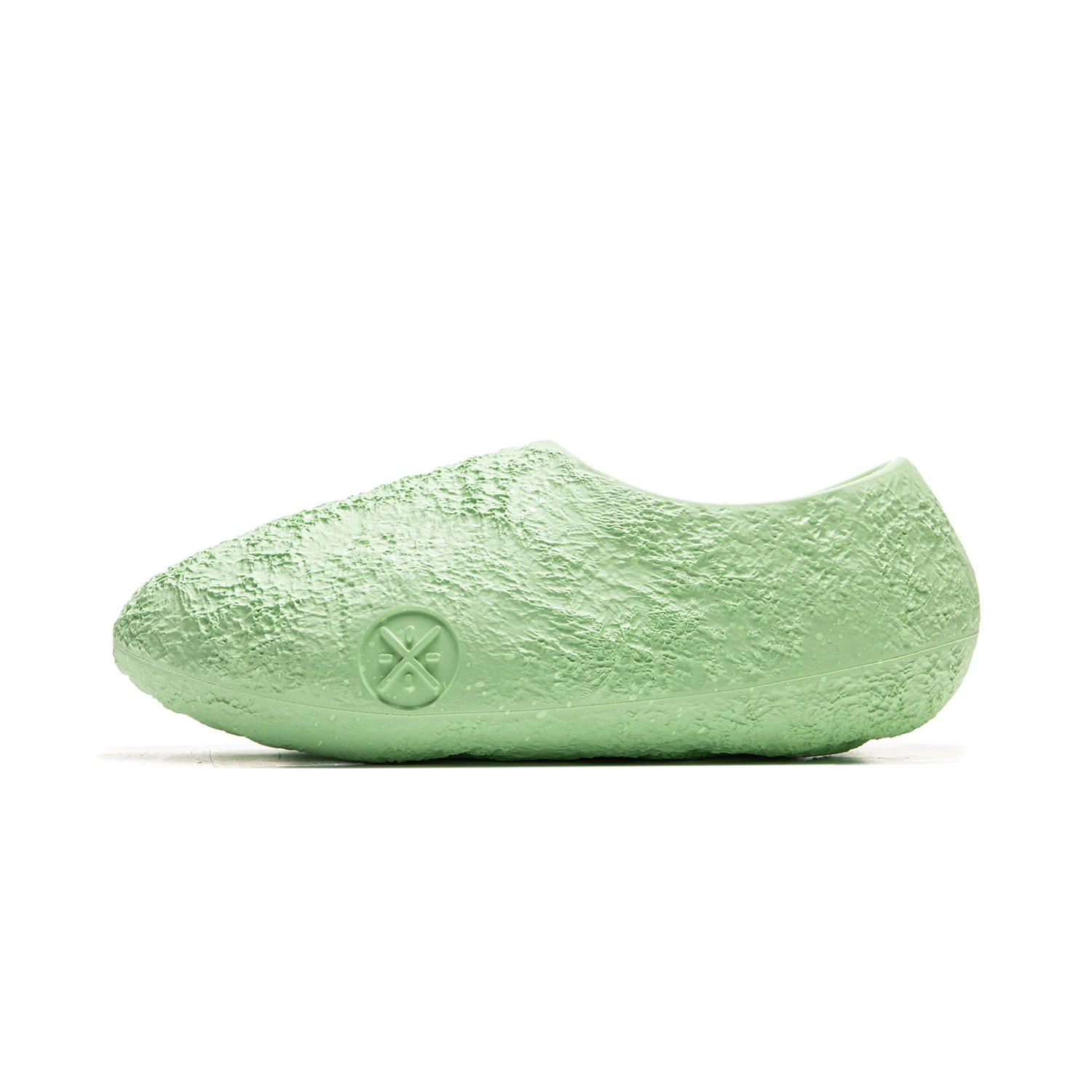 Lunar Rock 