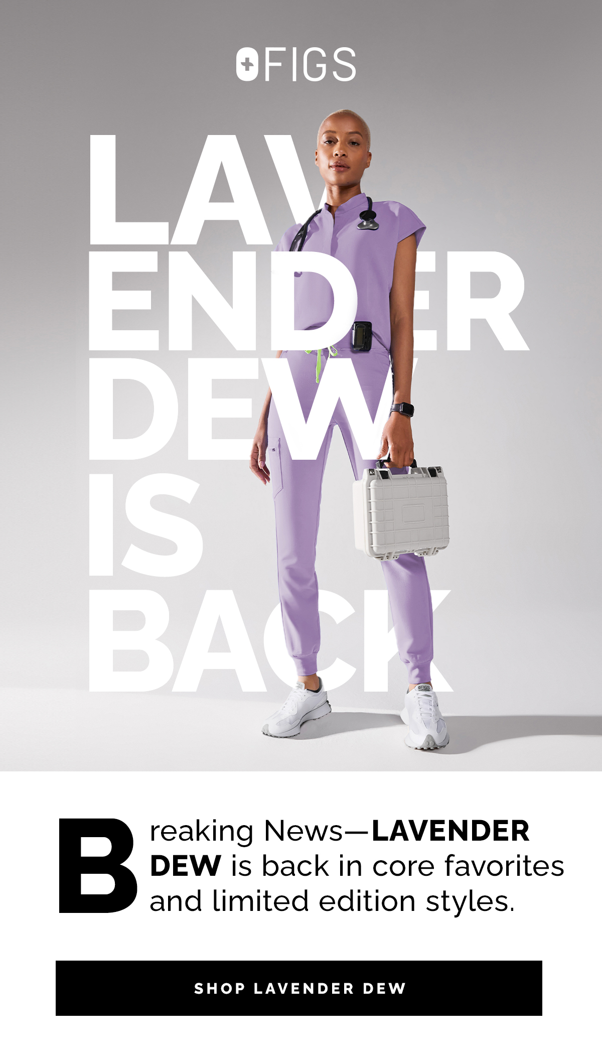 Breaking News—LAVENDER DEW is back