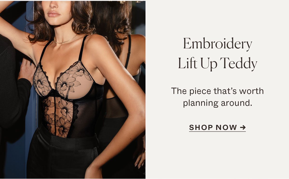Embroidery Lift Up Teddy