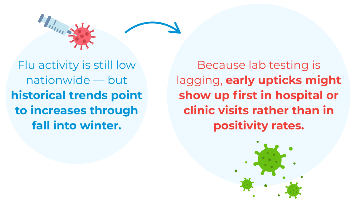 Influenza (Flu) — Low Now, but Watch Closely