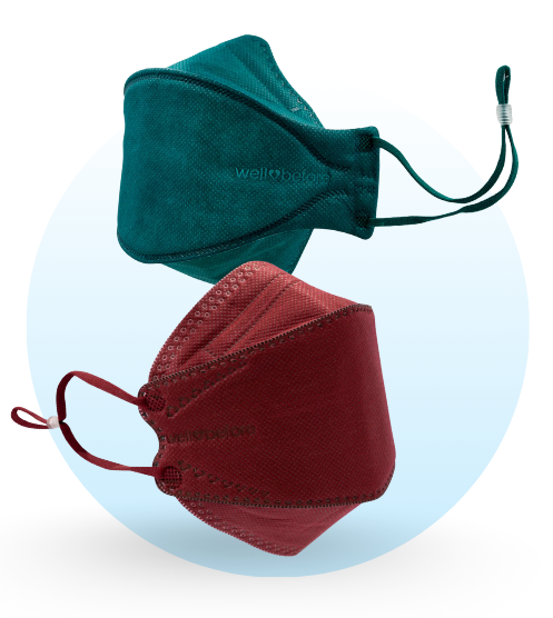 KN95 3D Face Mask