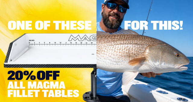 One Of These For This! 20% off All Magma Fillet Tables