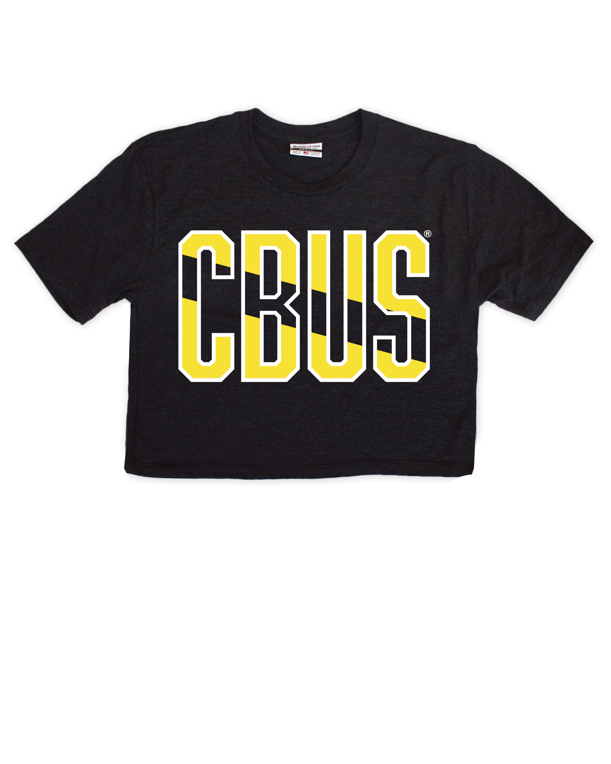 Image of CBUS Stripe Black Crop Top