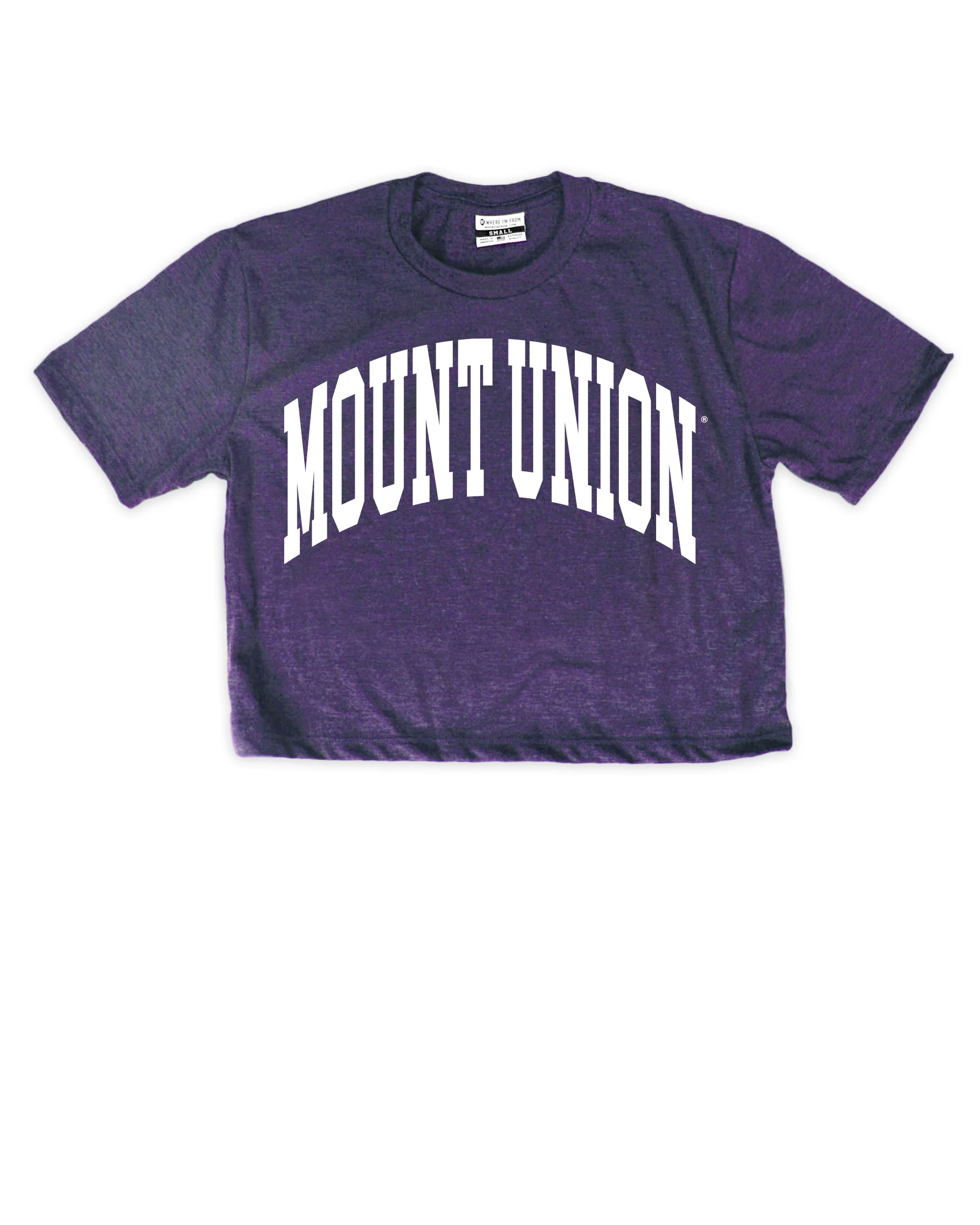 Image of Oversized Mount Union Cropped Tee