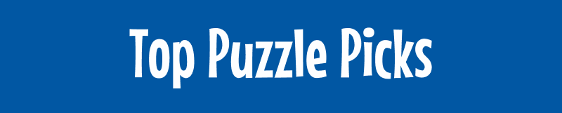 Top Puzzle Picks