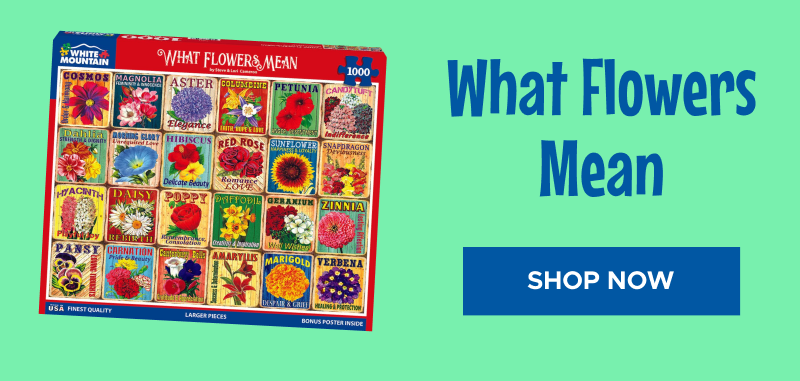 What Flowers Mean | Shop Now