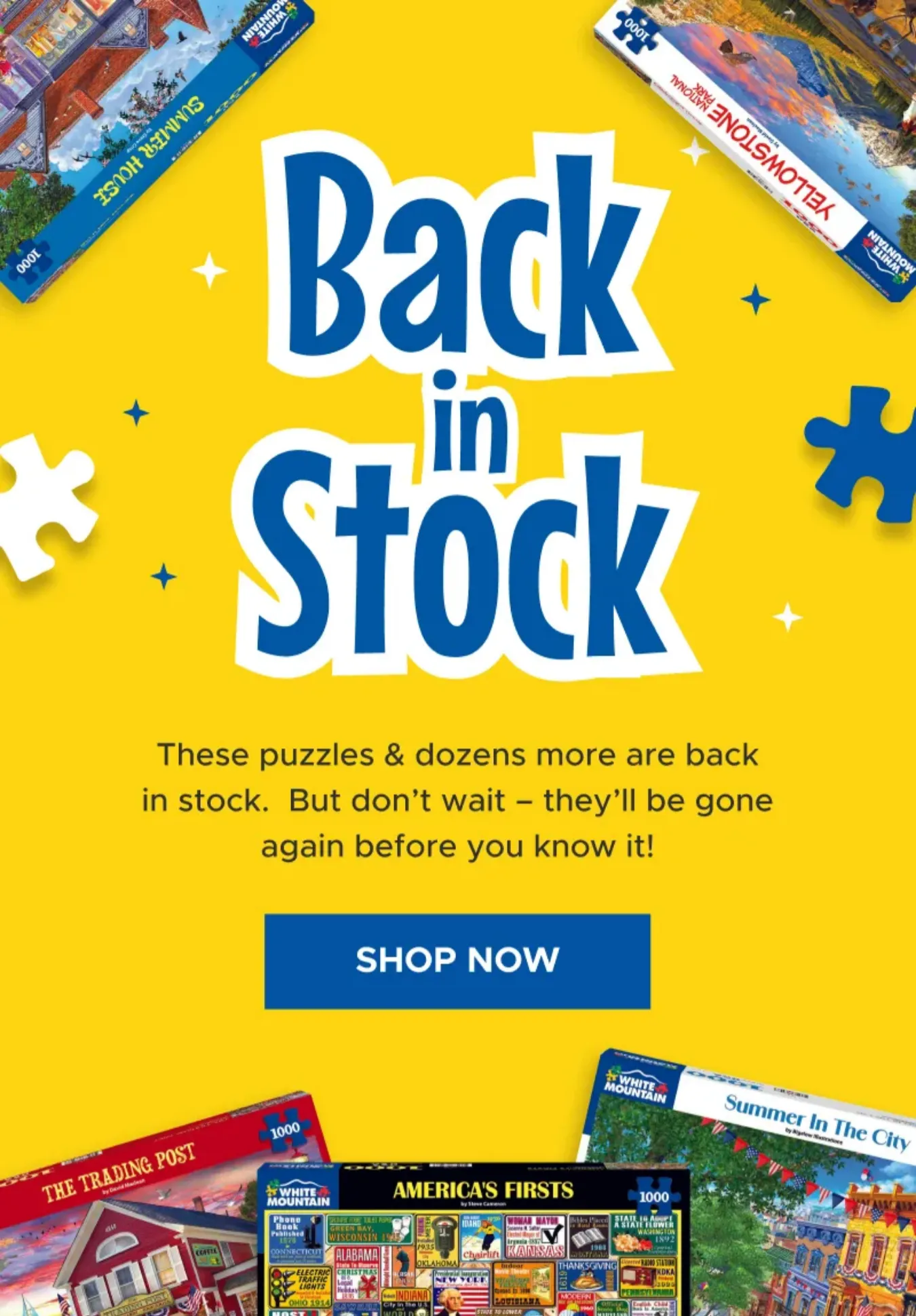 Back in Stock | Shop Now