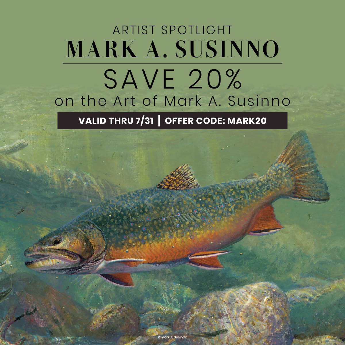 Save 20% on Mark A. Susinno