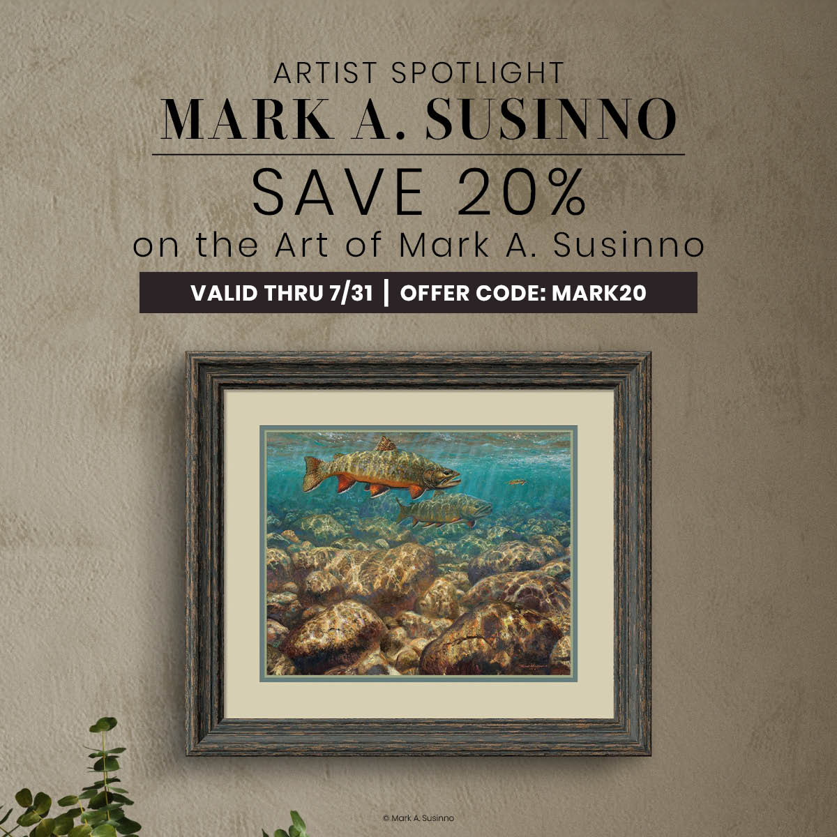 Save 20% on Mark A. Susinno
