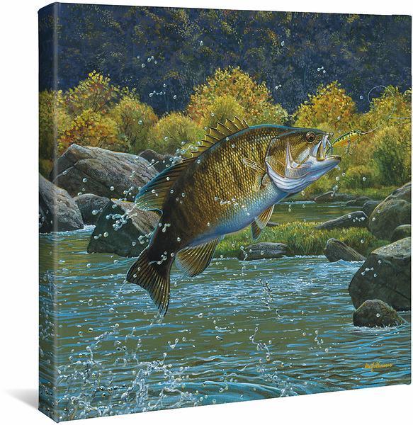 Image of Tail Walking—Smallmouth Bass