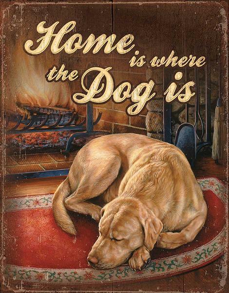 Image of Home is Where the Dog Is