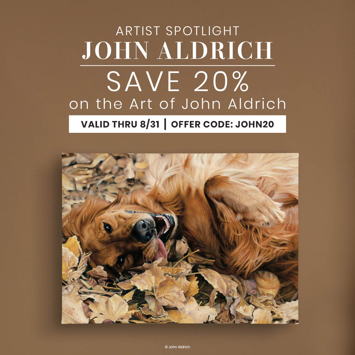 Save 20% on John Aldrich 