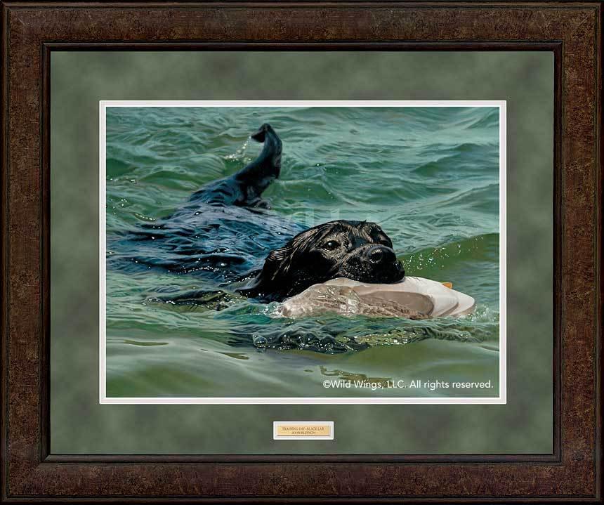Image of Training Day—Black Lab - GNA Premium Print