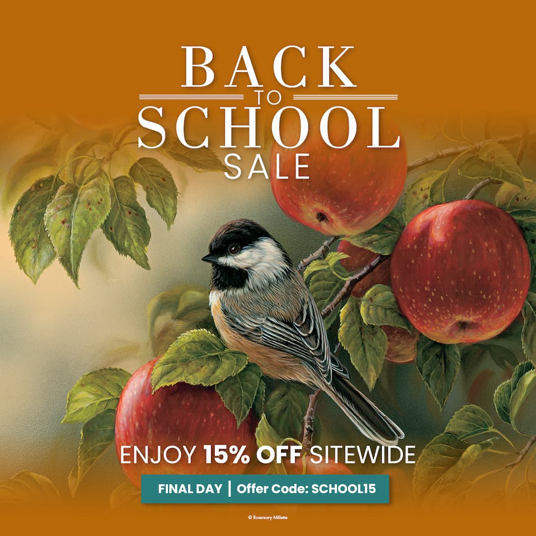 Back to School Sale 