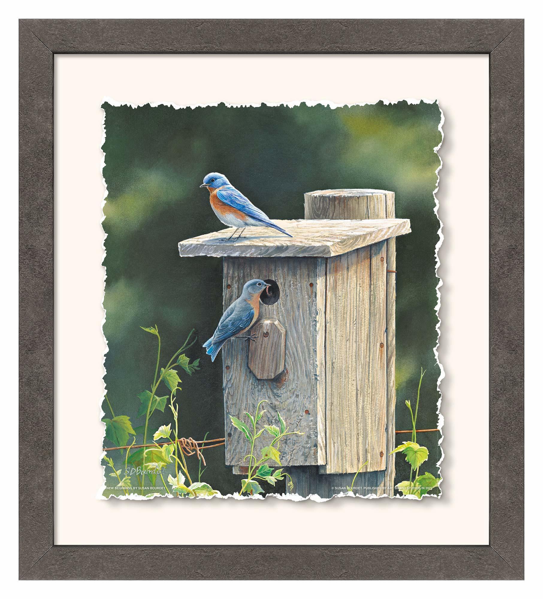 Image of New Beginnings—Bluebirds - Deckled Edge Paper Print