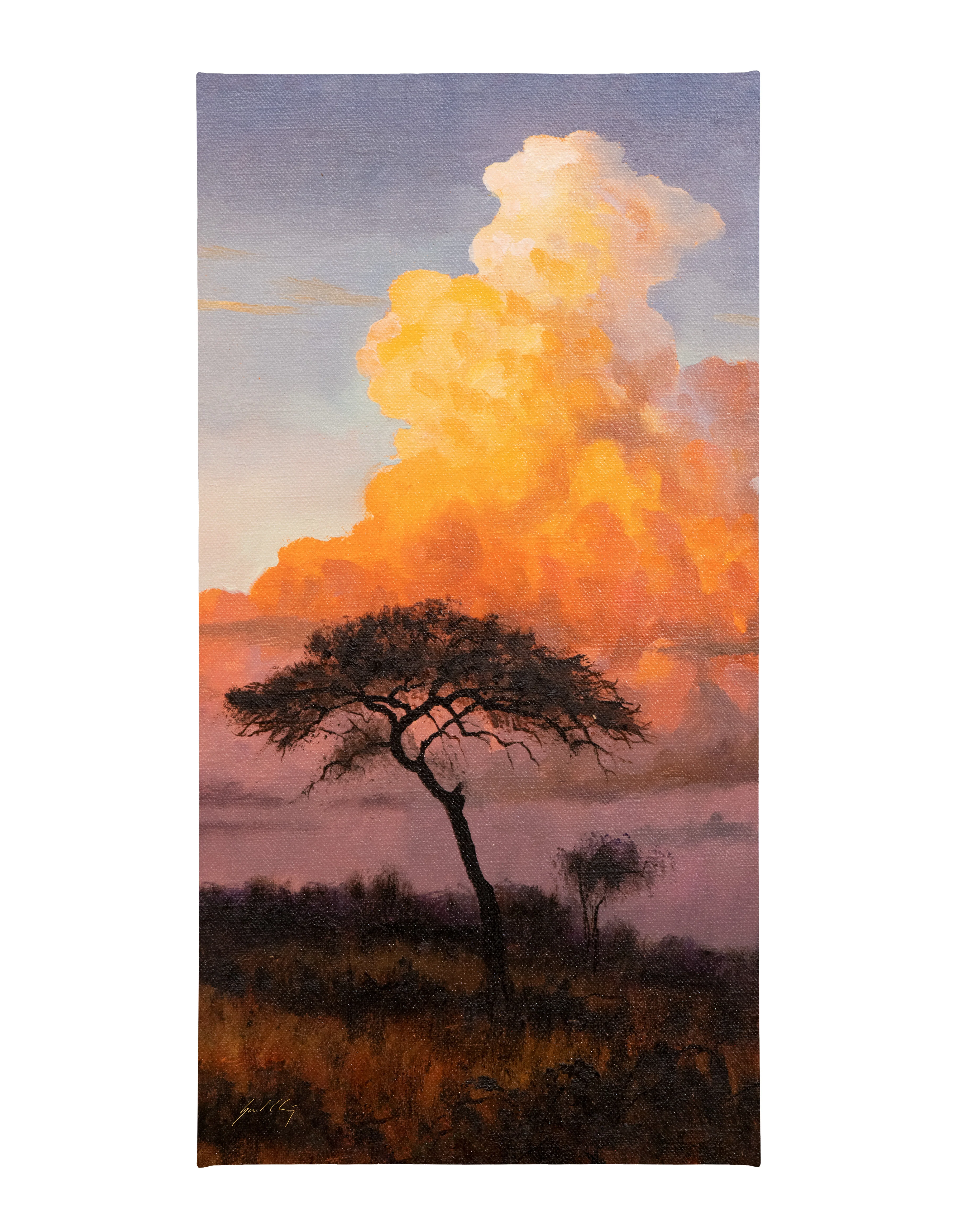Image of A Storm Tonight - 31" x 16" Gallery Wrapped Canvas