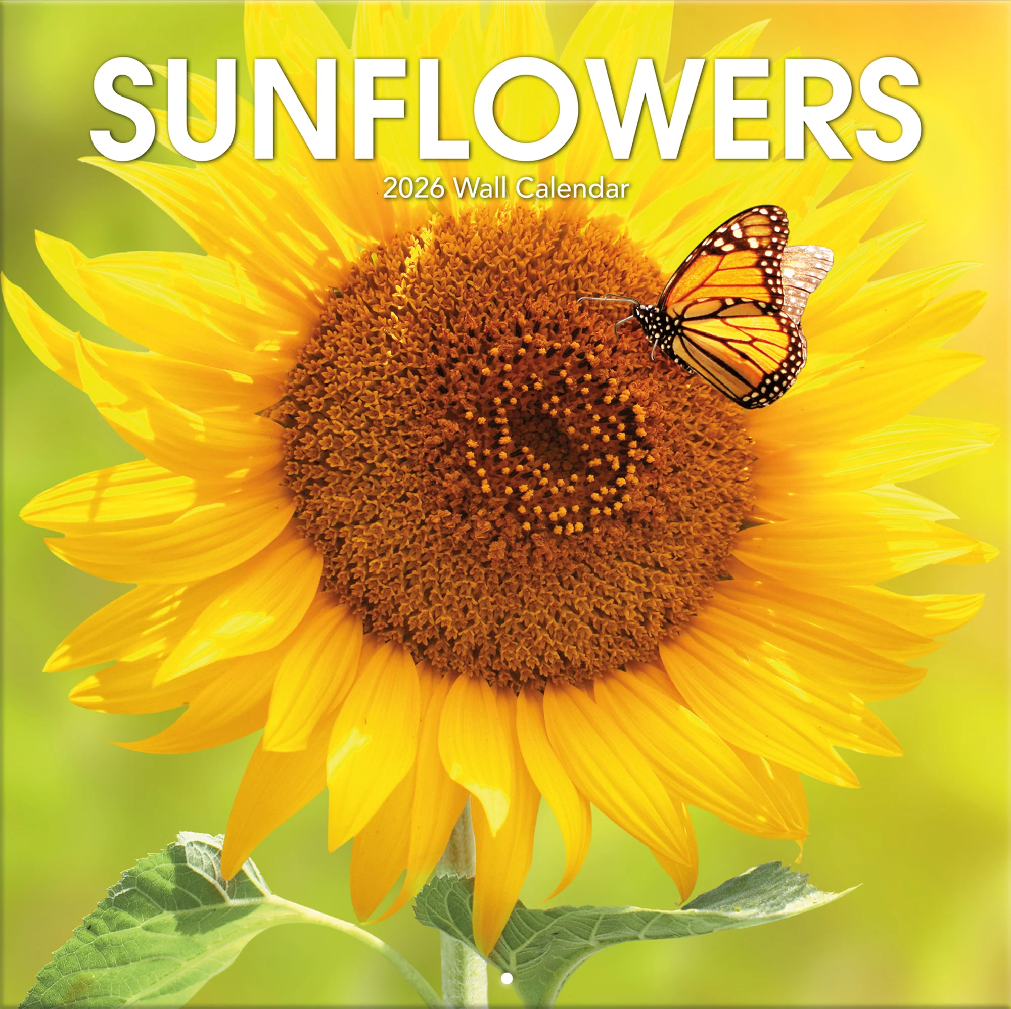 Image of Sunflowers 12" x 12" - Photo Wall Calendar