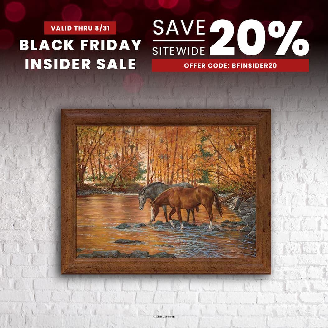 Black Friday Insider Sale 