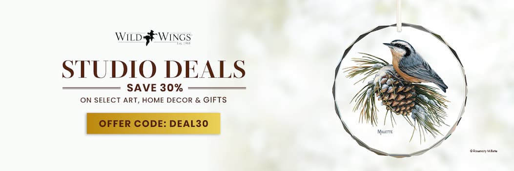 Studio Deals 